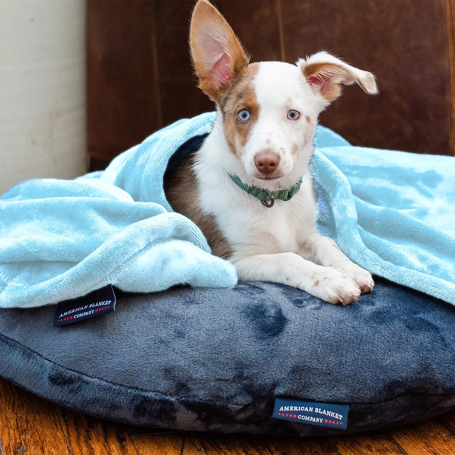 Beds and Blankets