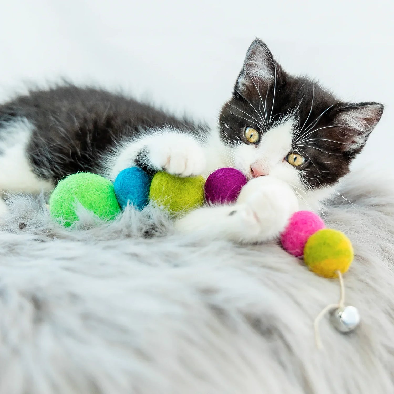 Cat Toys