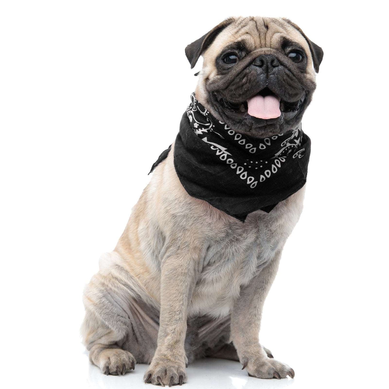Bandanas