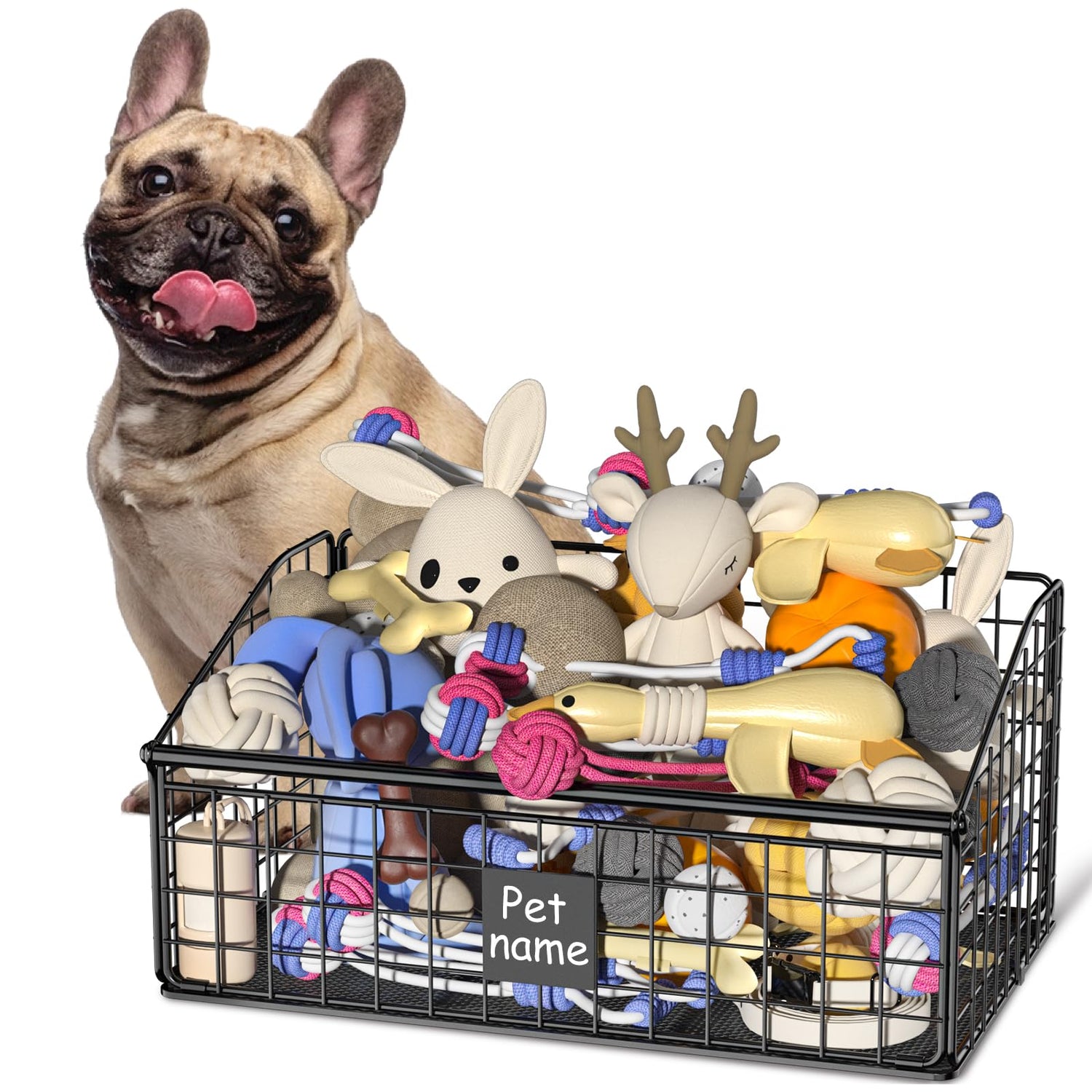 Dog Toys