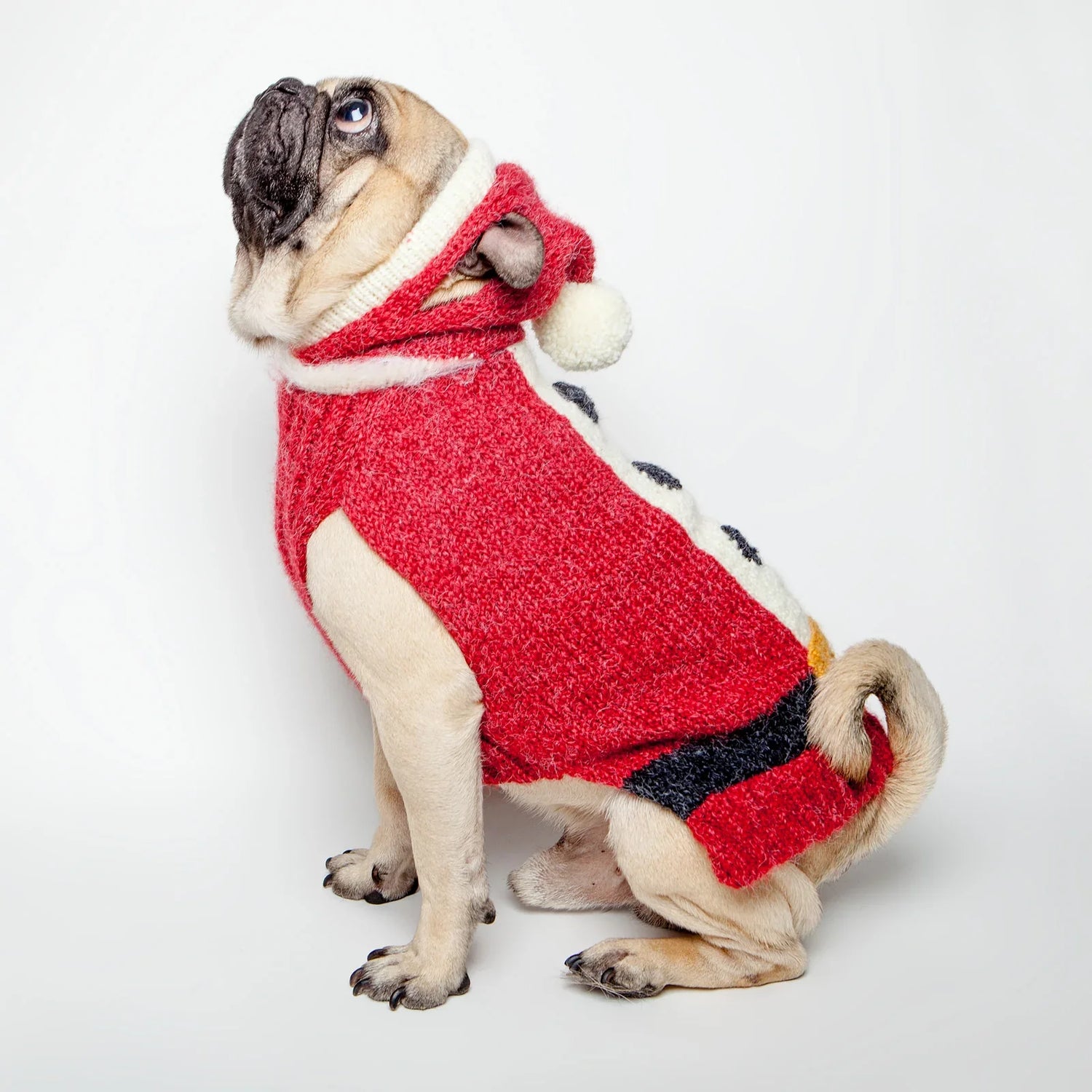 Pet Apparel
